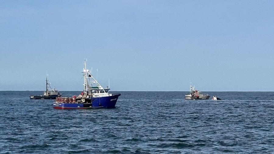 A Coast Guard crew aboard a 47-foot motor lifeboat from Station Grays Harbor searches the water for...