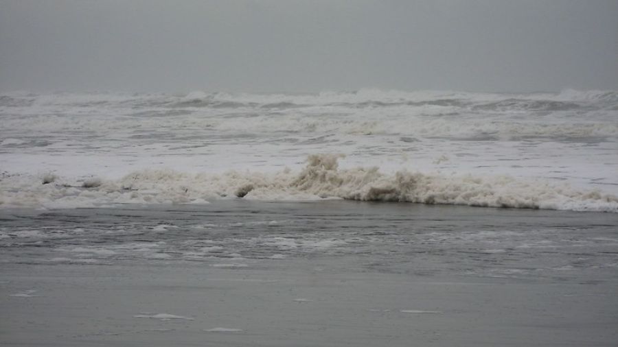 Long Beach wa northport student...