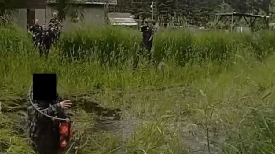 Lasso, chainsaw...