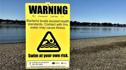 Don’t swim: Bacteria warning strikes Tacoma’s Jack Hyde beach, second in 2 weeks