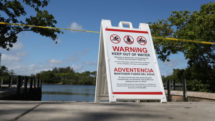 Seattle beaches Seattle bacteria beach closed...
