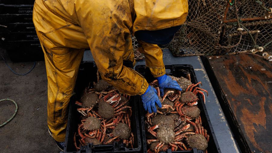 Kodiak fishermen illegal crab...