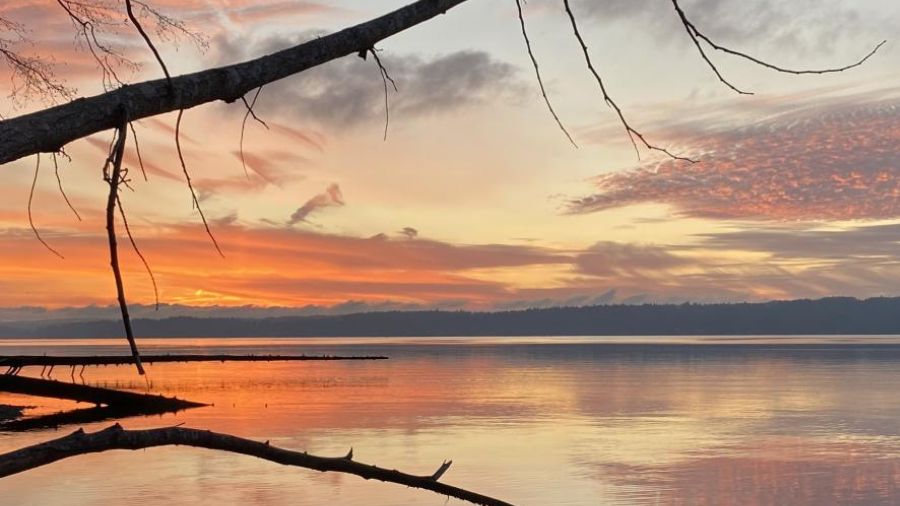Kopachuck State Park (Photo: Washington State Parks Department)...