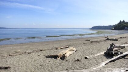 More details released after severed toe found in box at Dash Point State Park