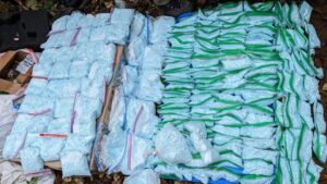 Pierce County couple drug trafficking 2