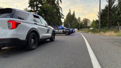 Fleeing driver killed in multi-vehicle crash during Yelm police pursuit