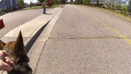 GPS-equipped dart helps Snohomish County deputies catch suspect