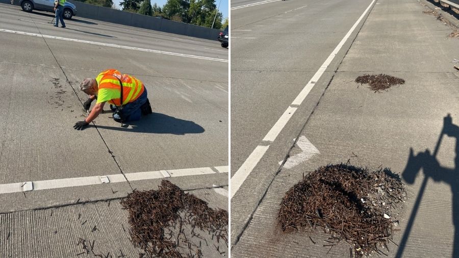 nails highway 16 tacoma...