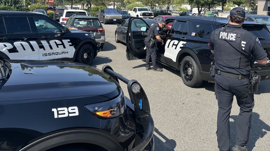 issaquah domestic violence...