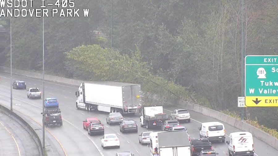 fallen tree I-405 in Tukwila...
