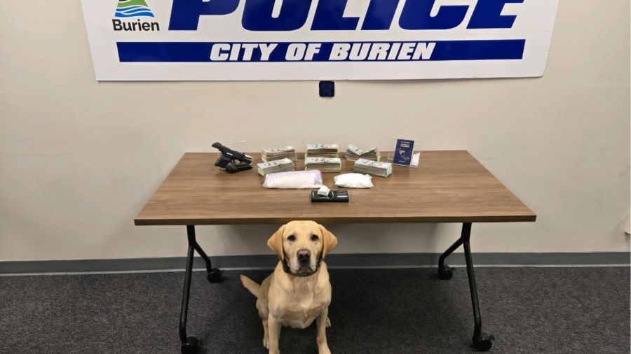 Bellevue drug trafficking arrested...