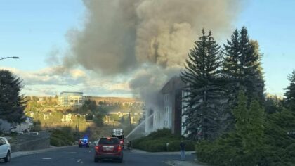 Pullman arson suspect surrenders after standoff at WA-Idaho border