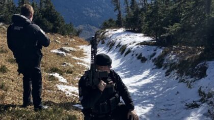 Grizzly bear that seriously injured 2 hikers will not be killed