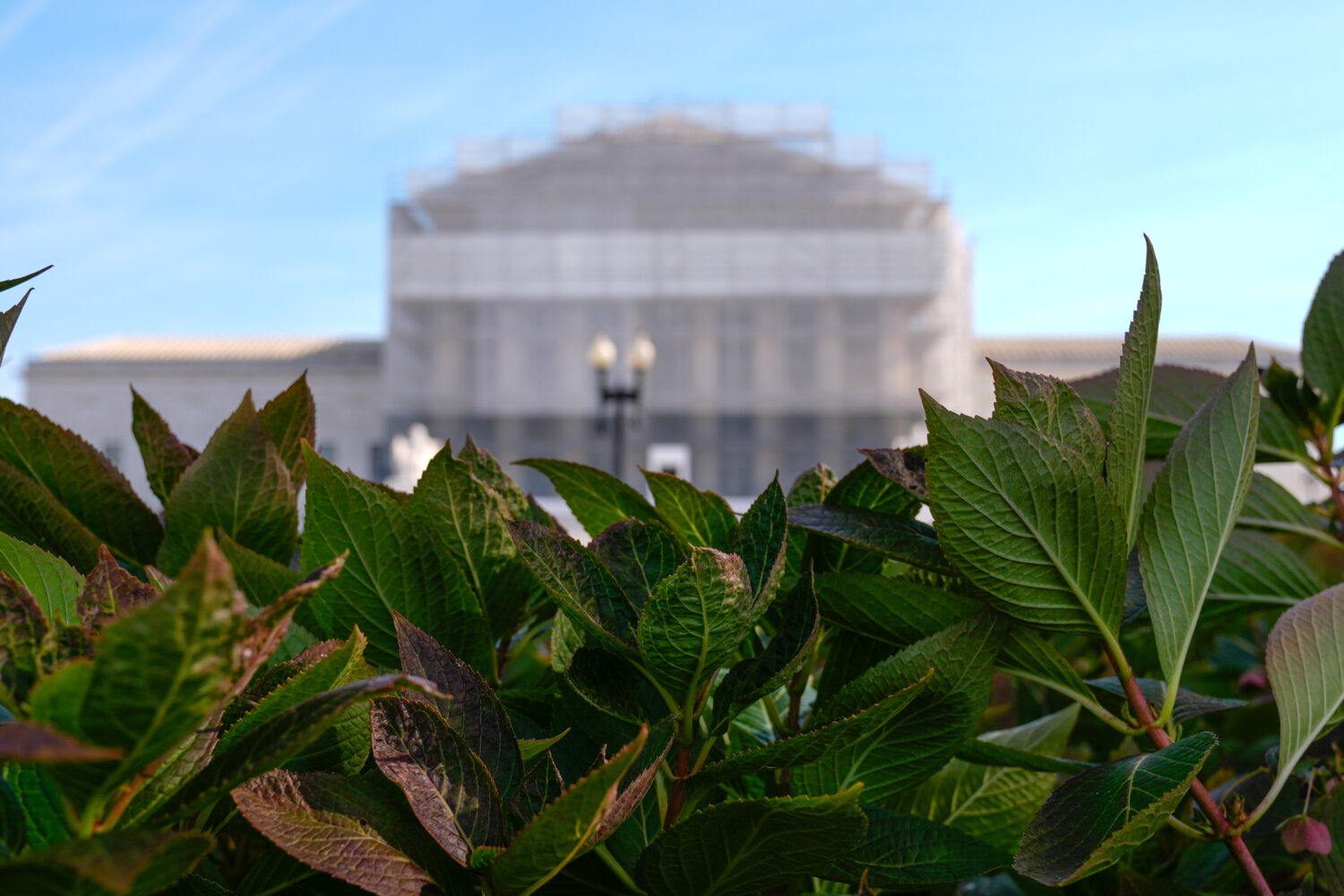 The U.S. Supreme Court is seen on Capitol Hill, Friday, Nov. 7, 2025, in Washington. (AP Photo/Mari...