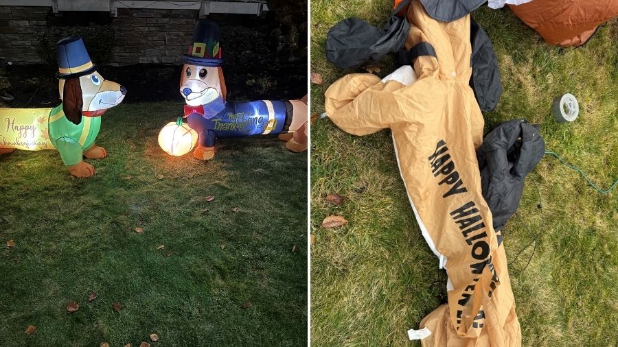 petty crime dachshund inflatable auburn...