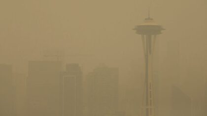 Study: Wildfire smoke may increase the risk of pre-term births