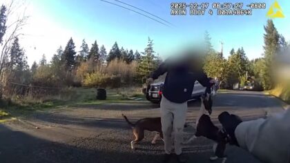 Bear mace, machete couldn't stop dog attack in Kitsap County that injured 7