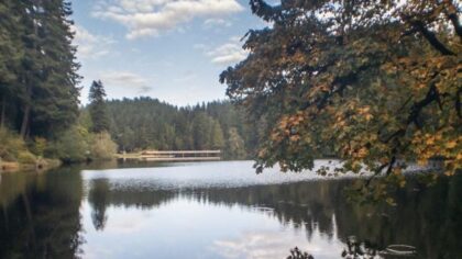 Lake Sylvia State Park closes as heavy rain stresses 100-year-old dam