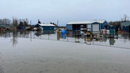 'I've never seen it like this': Snohomish River reaches record levels, Department of Public Works inundated