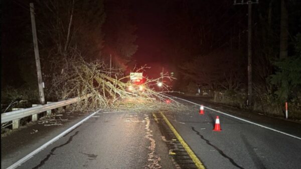 High winds, downed trees knock out power to thousands of northwest ...