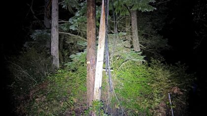 Suspected wire thief arrested in Kitsap County