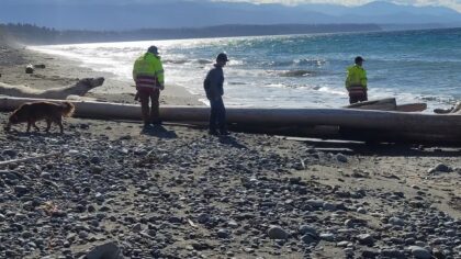 Human remains found inside sneaker on Clallam County beach, sheriff confirms