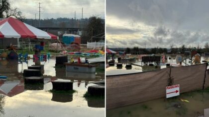 'The whole farm is underwater': Briscot Farm seeks help after sudden flooding