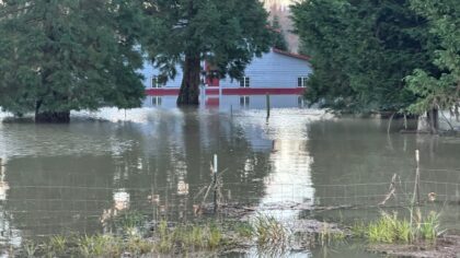 'I'm still underwater out there': Maltby-area farmer still has 5 feet of water in barn after floods
