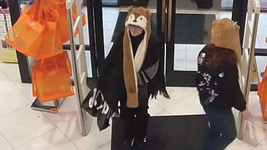 Reindeer hat thieves...