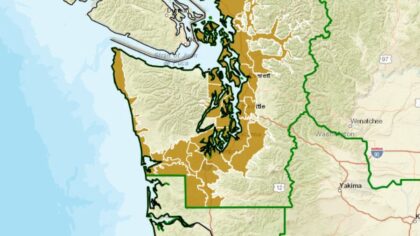 Christmas Eve windstorm possible in western WA as forecast models clash