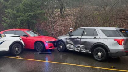 VIDEO: Suspect steals WSP vehicle after pushing officer during freeway encounter