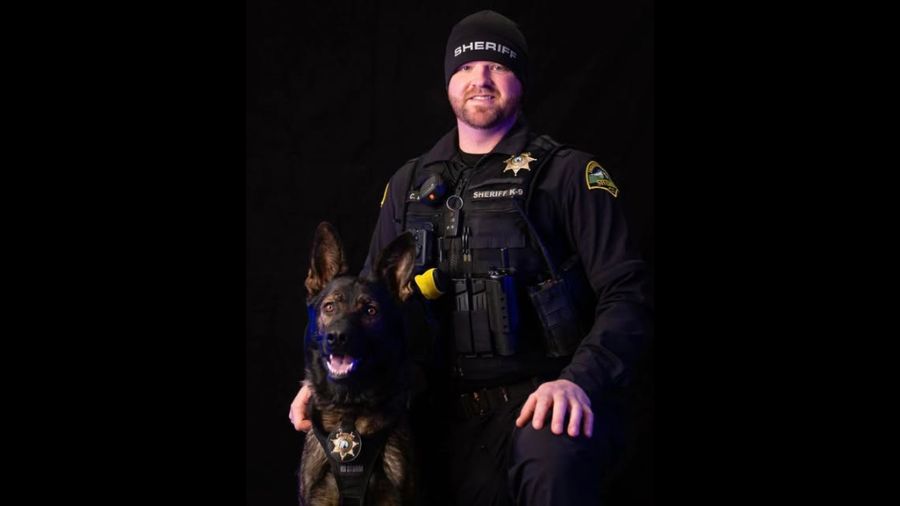 domestic violence thurston county manhunt...
