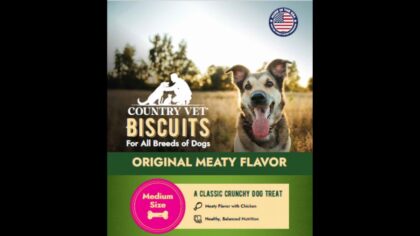 FDA recalls dog biscuits over potential Salmonella contamination