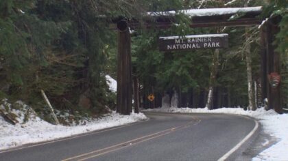 Road to Paradise at Mount Rainier reopens 7 days a week after 3-year cutback