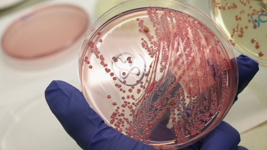 recall ground beef e. coli idaho...