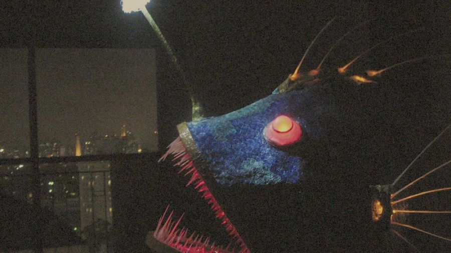 anglerfish dating seattle...