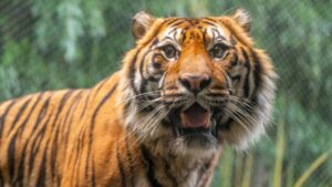 animals at Point Defiance Zoo and Aquarium (1)