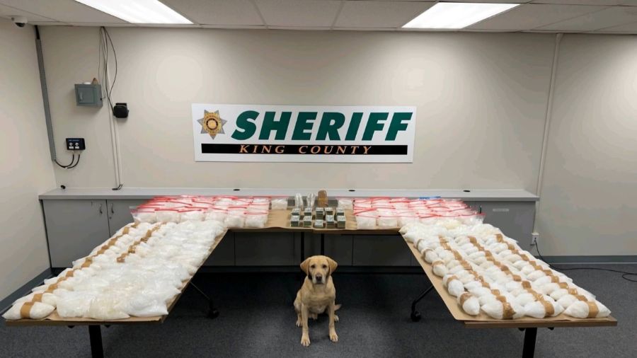 drug bust (1) Lynnwood...