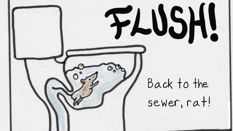 toilet rat warning...