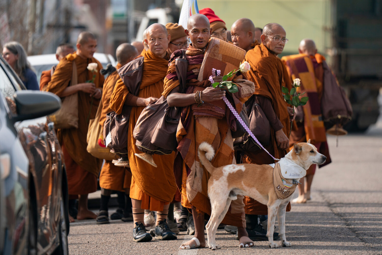 Buddhist monks who are participating in the, "Walk For Peace," are seen with their dog, Aloka, Thur...