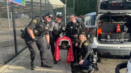 Marysville officers apprehend raccoon at Fred Meyer