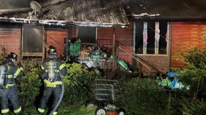 Around 40 dogs die in Poulsbo house fire