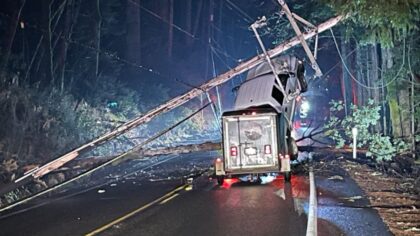Vehicle strikes power lines on US 101 in Lilliwaup, blocking highway for seven hours