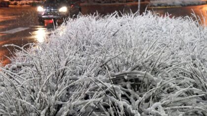 Snow falls in Bellingham as winter storm moves south From Canada
