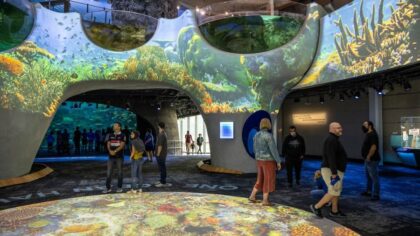 seattle aquarium ceo...