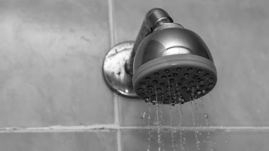 shower act party line...