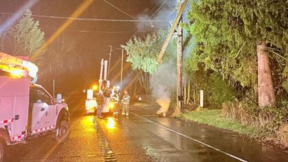 SR 169 closed in both directions north of Enumclaw after power pole fire