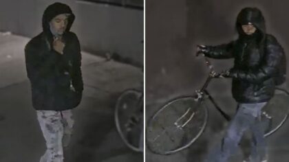 Police search for stabbing suspects in June attack