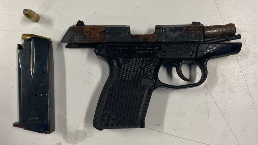 Seattle felon gun...
