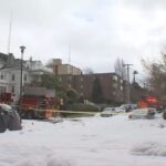 Queen Anne fire crane